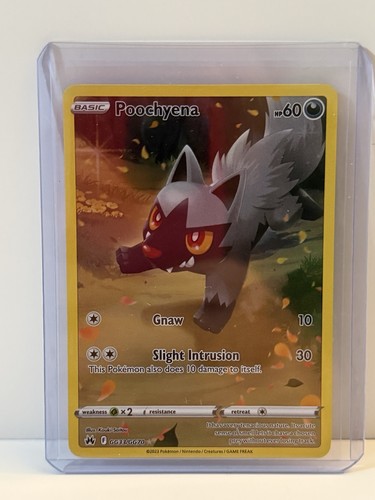 Pokémon poochyena tcg corona - poochyena,