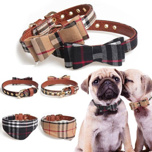 Collare cane pelle tartan - collare,