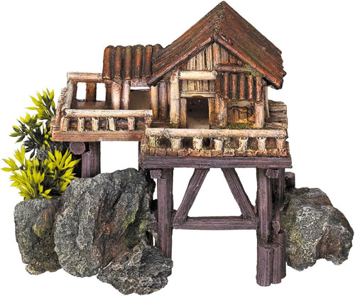 Ornamenti casa con piante - casa,