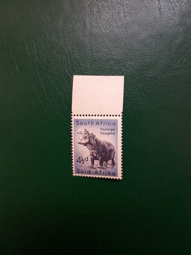 Sudafrica ippopotamo mnh - sudafrica.ippopotamo.mnh, og