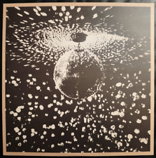 LP. NEIL YOUNG: "Mirrorball"