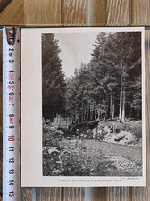 Campigna (Forlì Cesena)