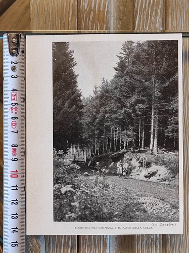 Campigna - , cesena)