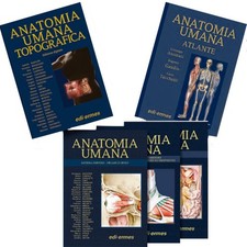 Anastasi | Trattato  di