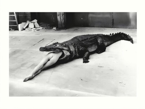 Scena helmut newton - newton, un