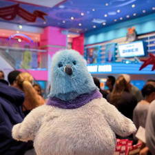 Peluche piccione gatto