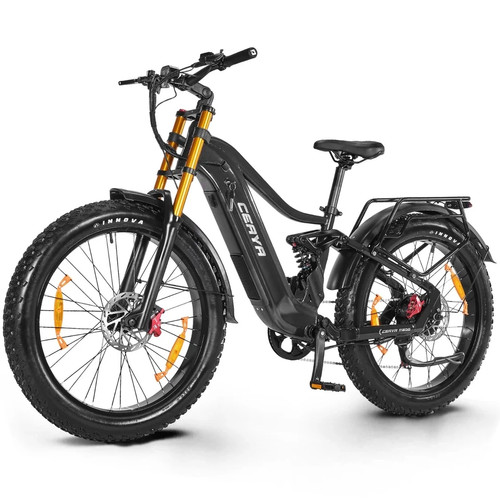 Bicicletta elettrica fat - elettrica, tyre