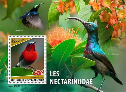 Sunbirds