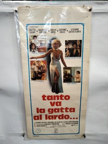 Locandina tanto gatta al - la,