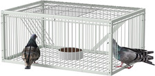 Gabbia per Piccioni Con