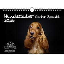 Calendario Magico per Cani