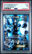 2013 POKEMON PLASMA FREEZE