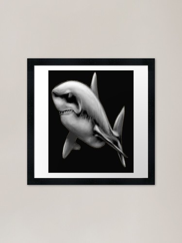 Grande squalo bianco - , con