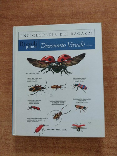 Dizionario visuale volume 2 - dizionario,