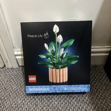 LEGO Botanicals 11504 Set di