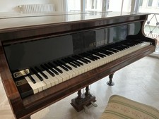pianoforte coda