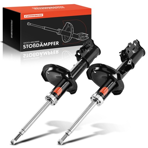 Ammortizzatore gas l - gas,