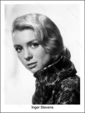 Inger Stevens (3)  Attrice