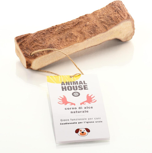Corna alce per cani - corna,