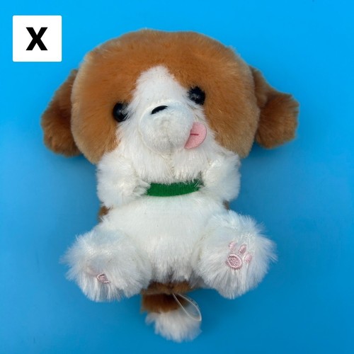 Cane mini cucciolo carino - mini,