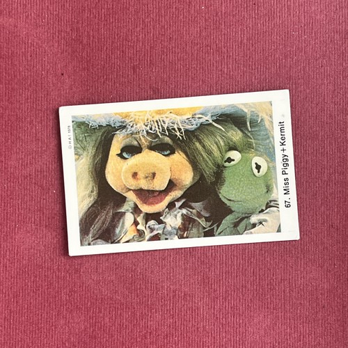Miss piggy kermit rana - miss, la