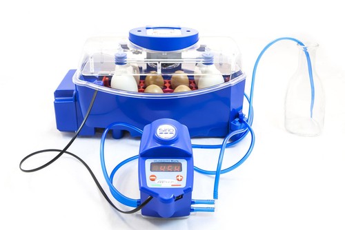 Kit incubatrice per uova - incubatrice, e