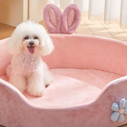 Divano letto gatto pet - letto,