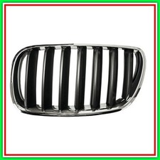 Griglia Radiatore Sinistra