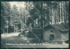 Firenze Reggello Vallombrosa