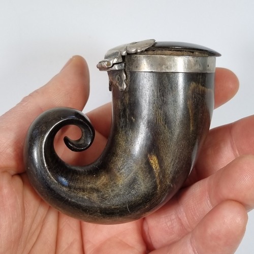Antique 19thc scottish horn - scottish,