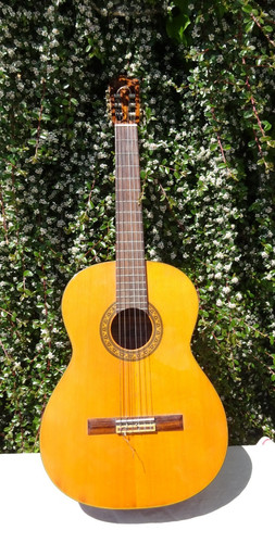 Gitarre marlin 315 - mc, ca.