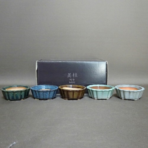 Miju mini vaso per bonsai - mini,