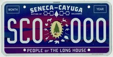 RARE Seneca Cayuga Indian