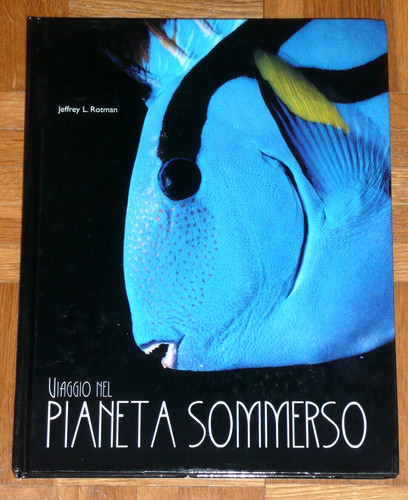 Rotman viaggio nel - j.l.,