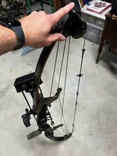 Vintage Bear PolarLTD Compound