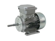 Motore elettrico Carpanelli