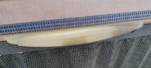 Copriluce interno ricambio - copriluce,
