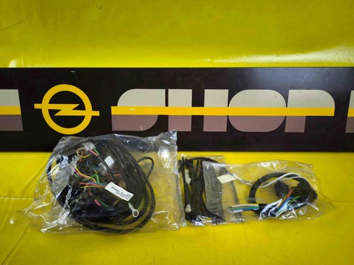 Elektrosatz gancio traino - elektrosatz,