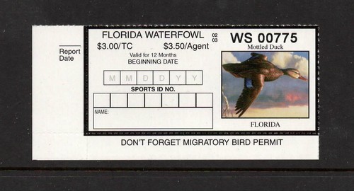 Florida 24 errore - florida, #24