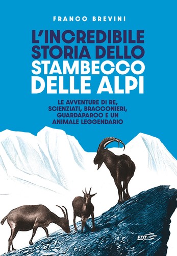 Incredibile storia dello - l'incredibile,