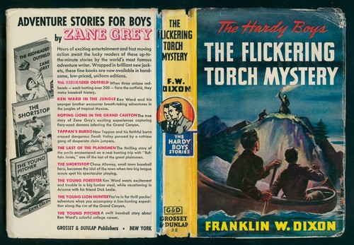 Hardy boys the flickering - boys, #22
