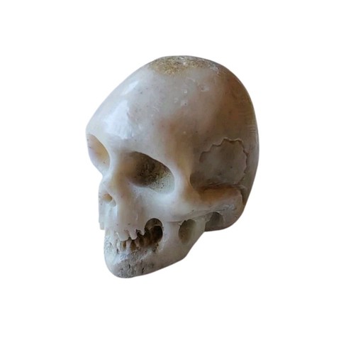 Antico memento mori in - *hh*,