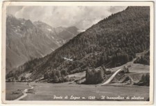 PONTE DI LEGNO - BRESCIA - IL TRAMPOLINO DI PLASTICA - VIAGG. 1962 -70938-