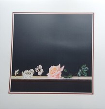 Dario MANINI, Serigrafia cm