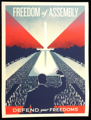 Shepard fairey freedom - shepard, of