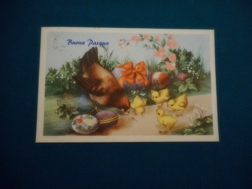 Cartolina buona pasqua - cartolina,