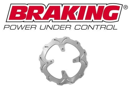 Braking disco posteriore - braking,