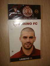 TURIN COLLECTION PINS PINS
