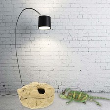  Nascondere Grotta Rettilario