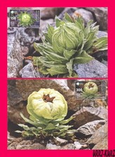 KIRGHIZISTAN 2024-2025 Flora